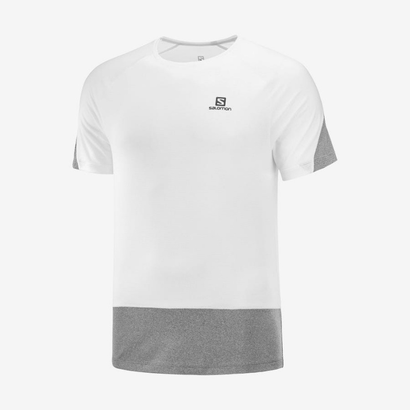 Camiseta Salomon CROSS RUN Hombre Blancas | EC2397RVD