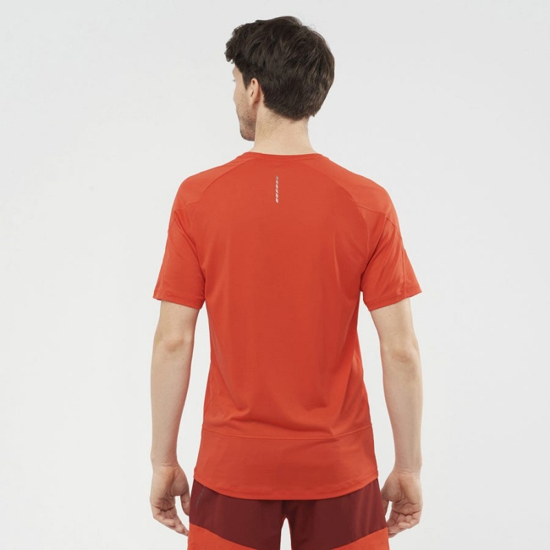 Camiseta Salomon CROSS RUN Hombre Naranjas | EC2394QMA