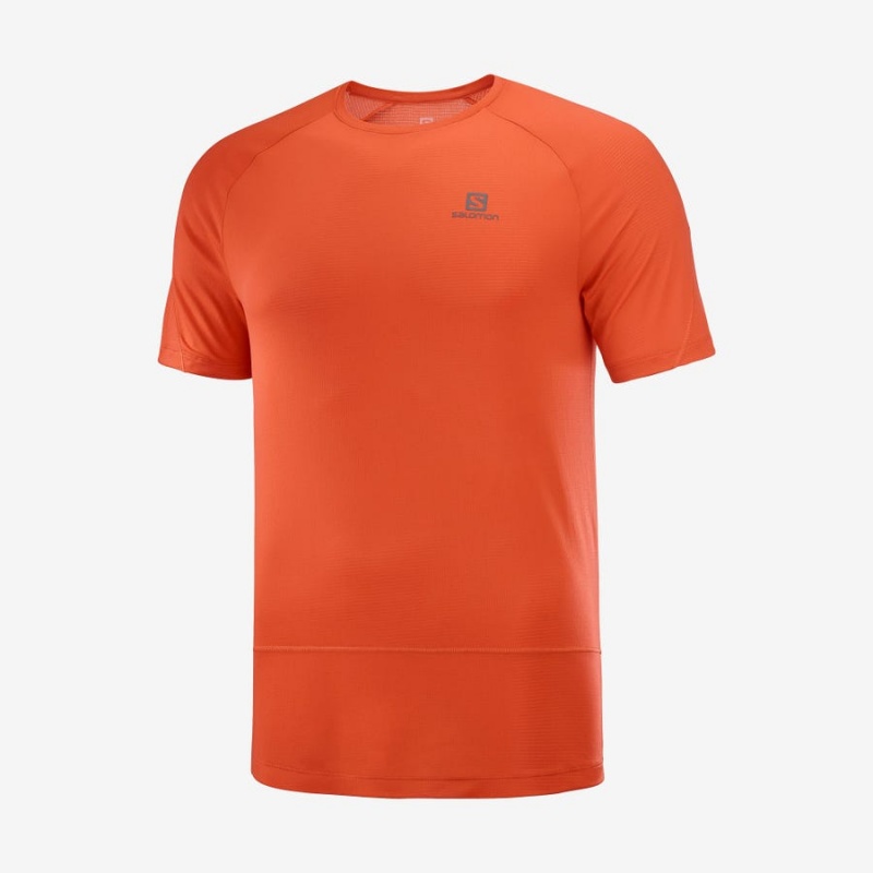 Camiseta Salomon CROSS RUN Hombre Naranjas | EC2394QMA