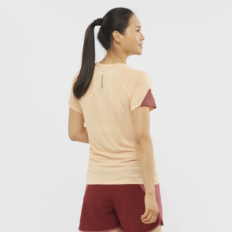 Camiseta Salomon CROSS RUN Mujer Beige | EC3081AHK