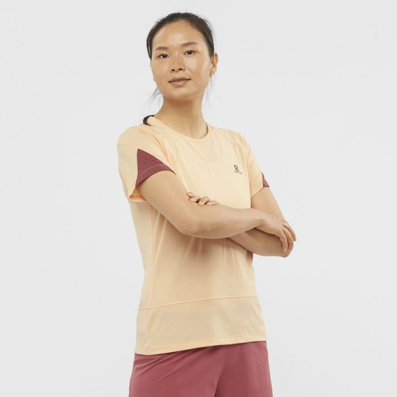 Camiseta Salomon CROSS RUN Mujer Beige | EC3081AHK