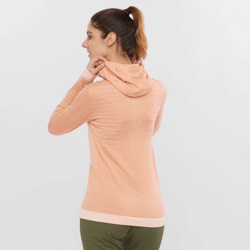 Camiseta Salomon ESSENTIAL WOOL Mujer Beige | EC3061KOR