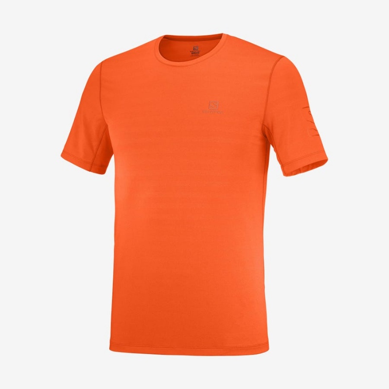 Camiseta Salomon OUTLINE Hombre Naranjas | EC2374UZG