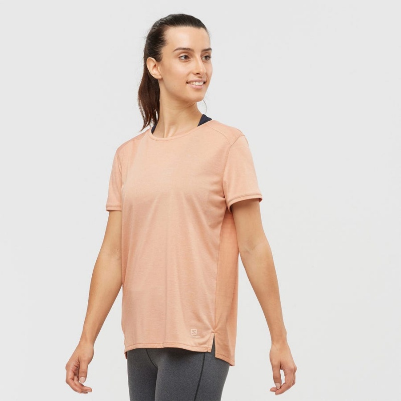 Camiseta Salomon OUTLINE SUMMER Mujer Beige | EC3071WNB