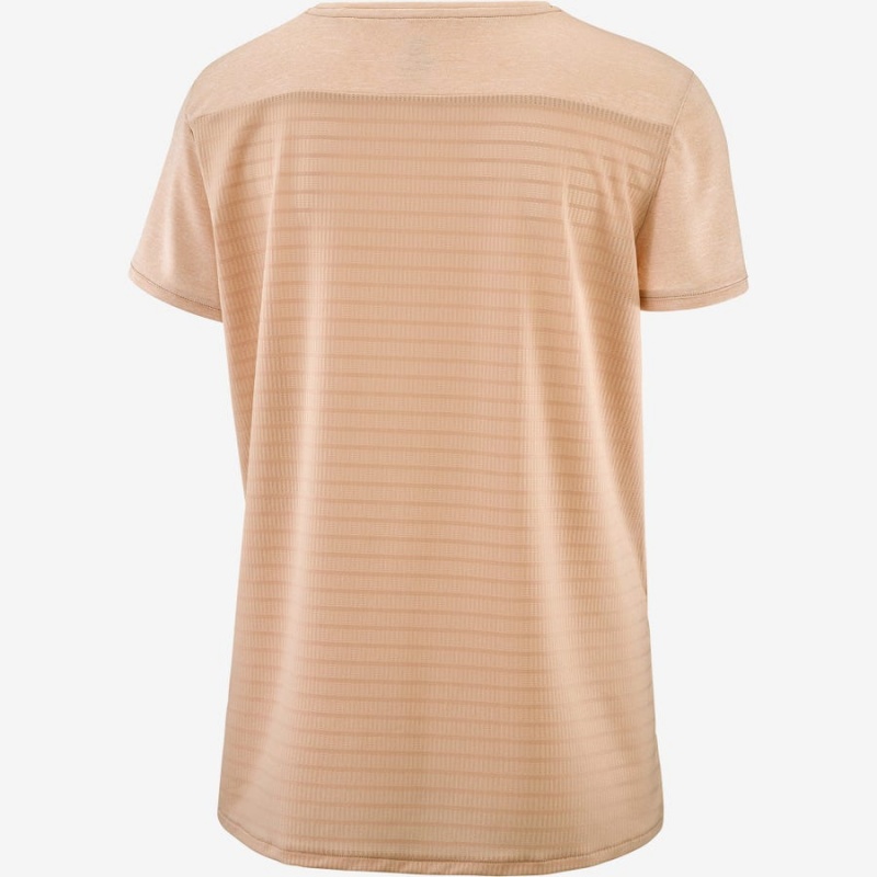 Camiseta Salomon OUTLINE SUMMER Mujer Beige | EC3071WNB