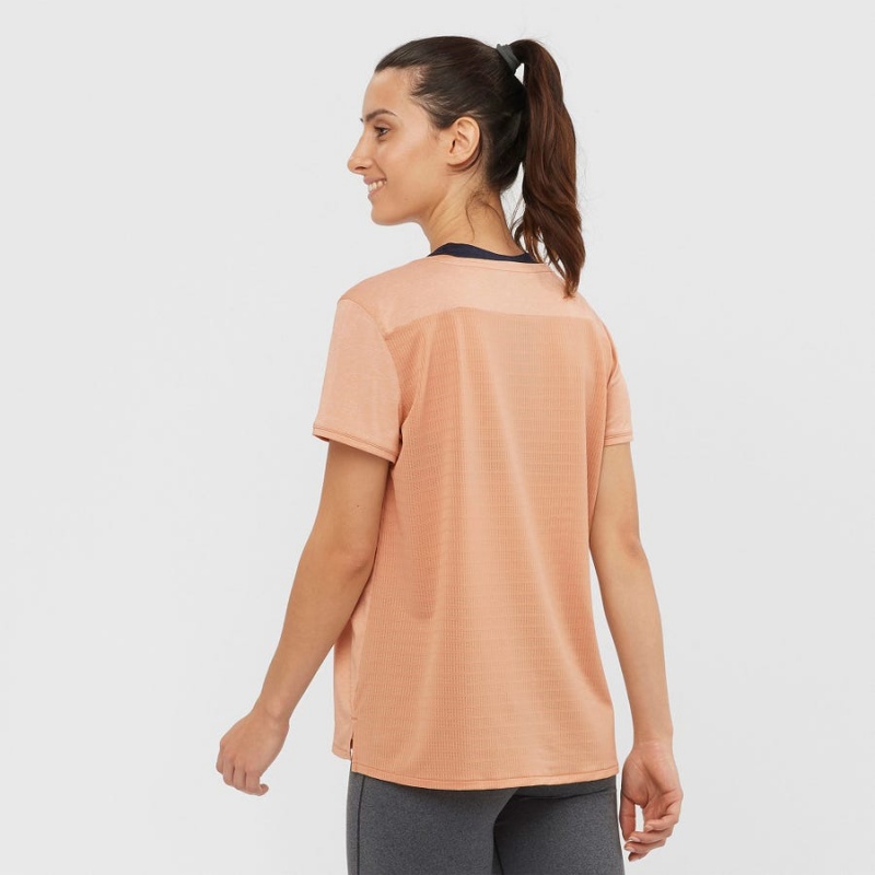 Camiseta Salomon OUTLINE SUMMER Mujer Beige | EC3071WNB