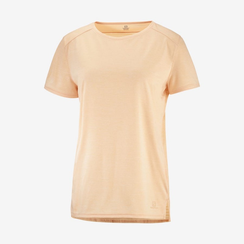 Camiseta Salomon OUTLINE SUMMER Mujer Marrones | EC3075YXF