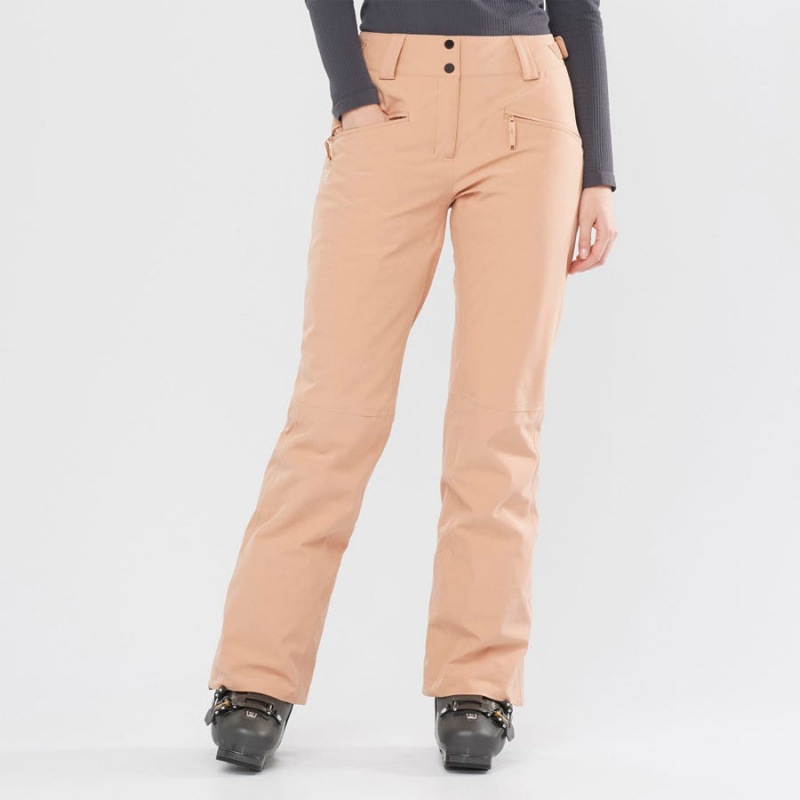 Pantalon Esquí Salomon EDGE Mujer Rosas | EC3300CTV