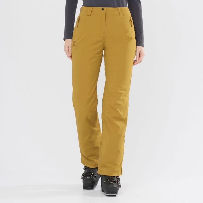 Pantalon Esquí Salomon THE BRILLIANT Mujer Marrones | EC3311GSO