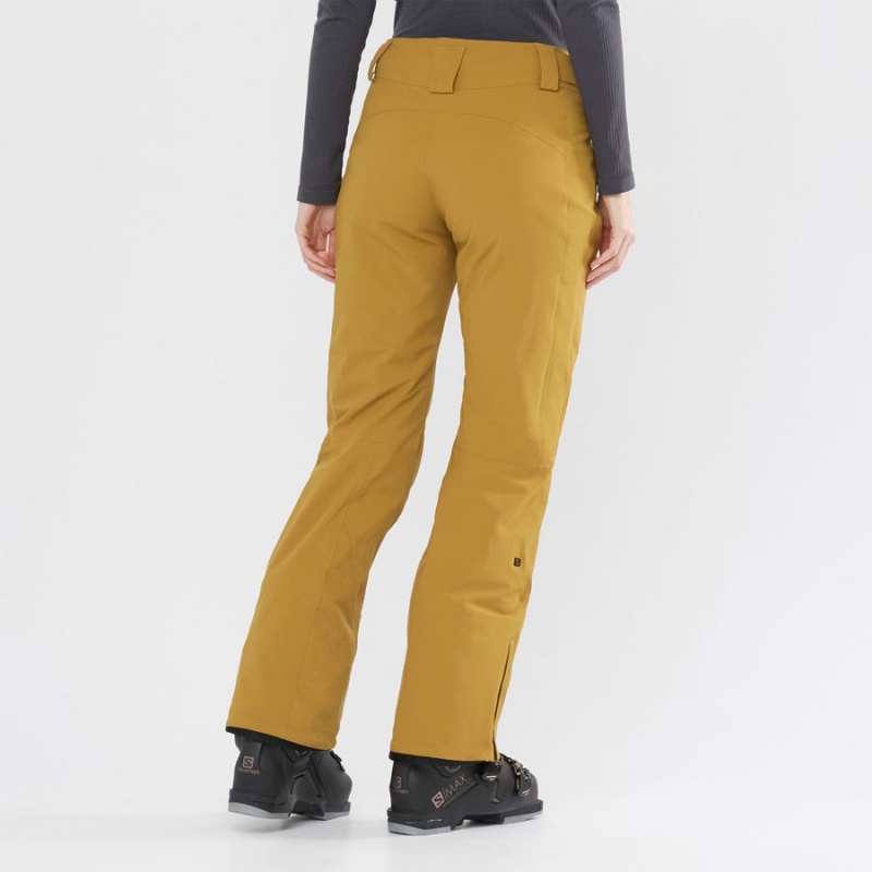 Pantalon Esquí Salomon THE BRILLIANT Mujer Marrones | EC3311GSO