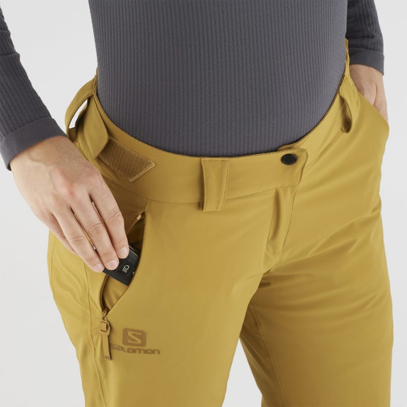 Pantalon Esquí Salomon THE BRILLIANT Mujer Marrones | EC3311GSO