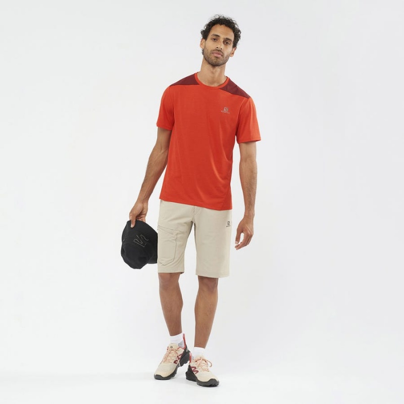 Short Salomon WAYFARER Hombre Beige | EC2478FDN