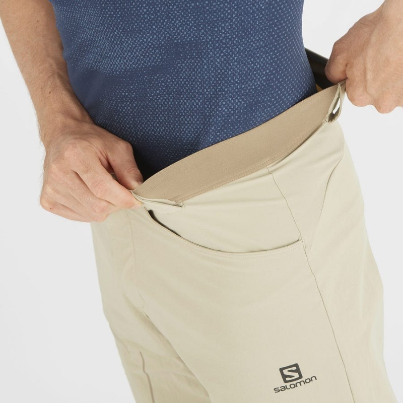 Short Salomon WAYFARER Hombre Beige | EC2478FDN