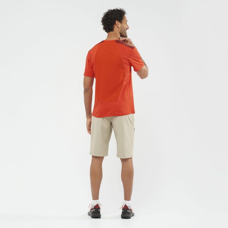 Short Salomon WAYFARER Hombre Beige | EC2478FDN