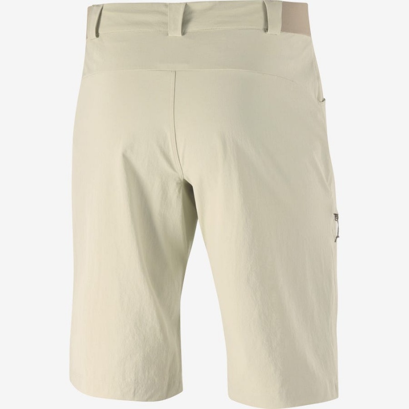 Short Salomon WAYFARER Hombre Beige | EC2478FDN