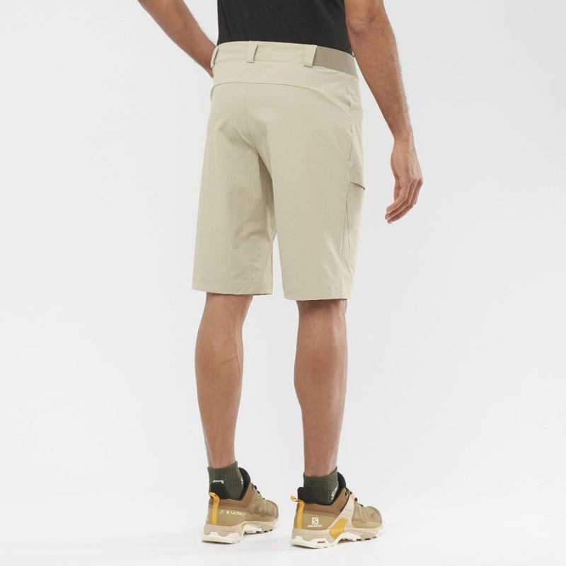 Short Salomon WAYFARER Hombre Beige | EC2478FDN