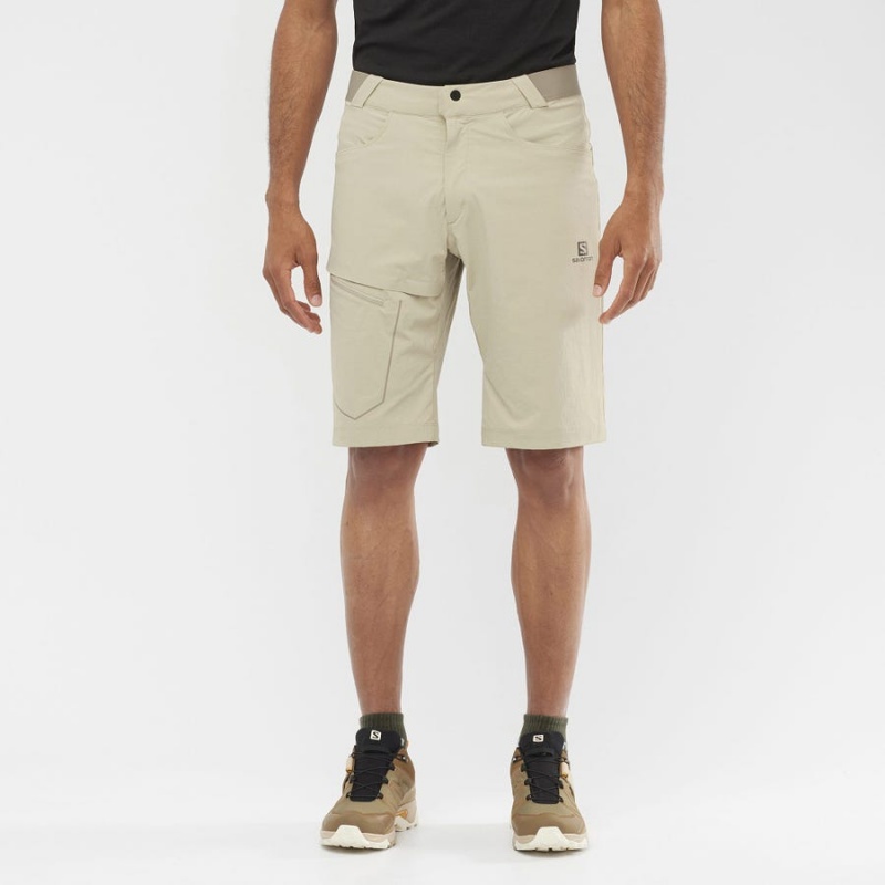 Short Salomon WAYFARER Hombre Beige | EC2478FDN