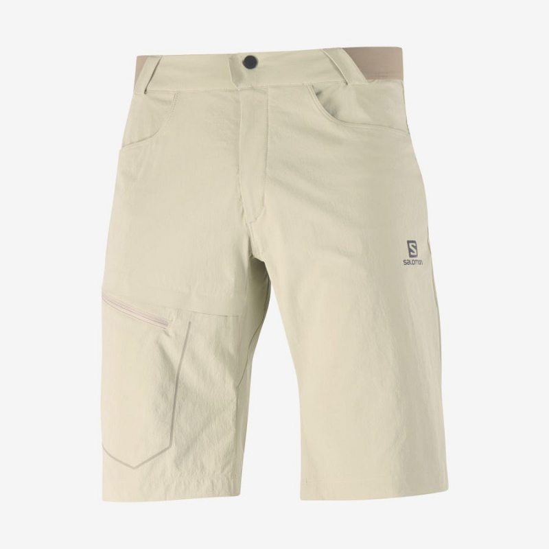 Short Salomon WAYFARER Hombre Beige | EC2478FDN