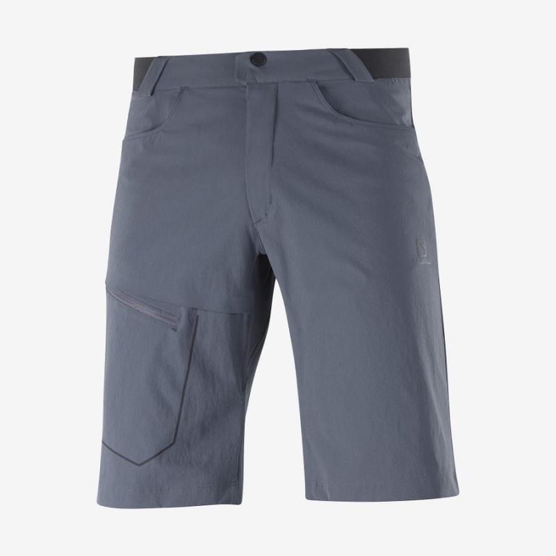 Short Salomon WAYFARER Hombre Gris | EC2475AHK