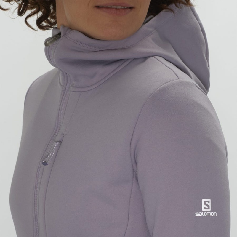 Sudadera con Capucha Salomon ESSENTIAL XWARM Mujer Moradas | EC3123WNB