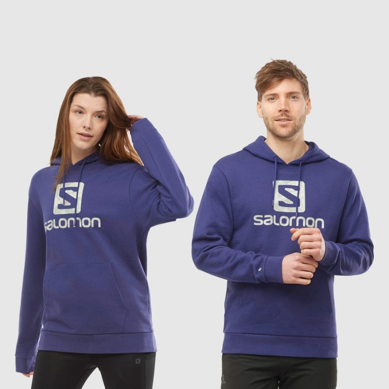 Sudadera con Capucha Salomon OUTLIFE LOGO SUMMER Mujer Moradas | EC3087JPQ