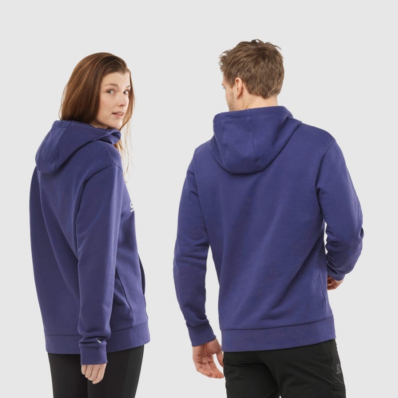 Sudadera con Capucha Salomon OUTLIFE LOGO SUMMER Mujer Moradas | EC3087JPQ