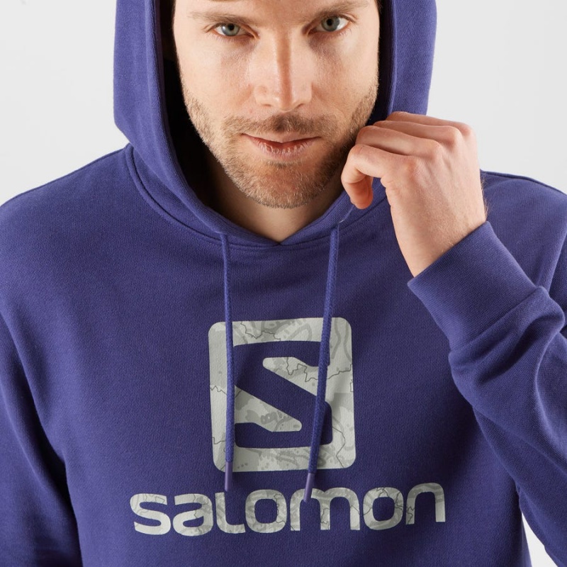 Sudadera con Capucha Salomon OUTLIFE LOGO SUMMER Mujer Moradas | EC3087JPQ