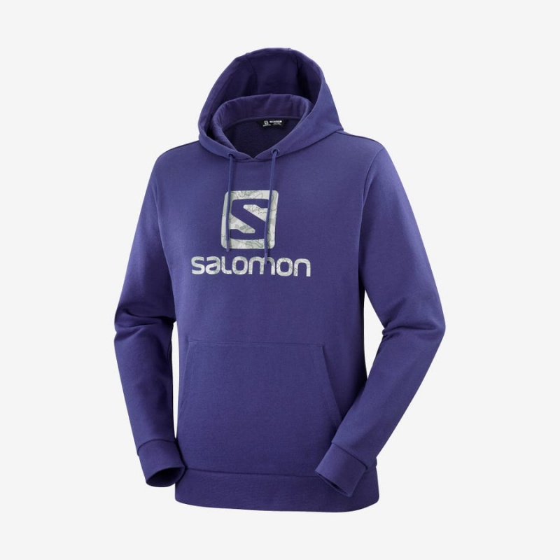 Sudadera con Capucha Salomon OUTLIFE LOGO SUMMER Mujer Moradas | EC3087JPQ