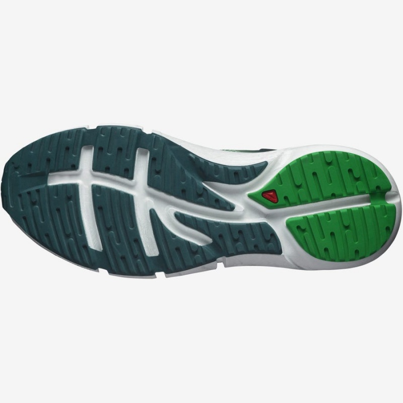 Zapatillas Running Salomon PREDICT 2 Hombre Verde Oliva | EC2156WNB