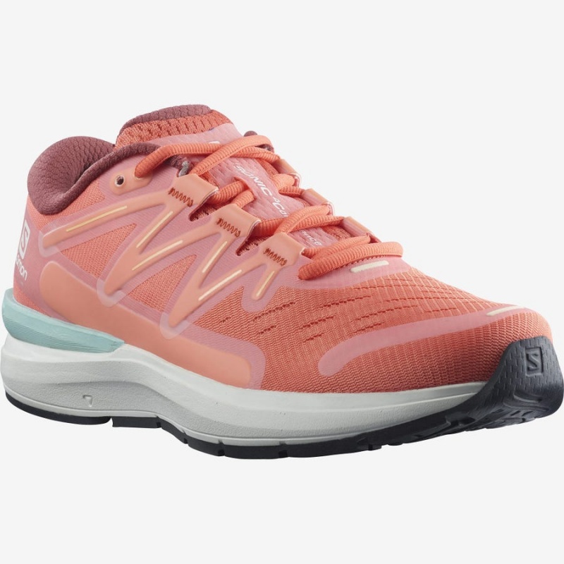 Zapatillas Running Salomon SONIC 4 Confidence Mujer Rosas | EC2900DFM