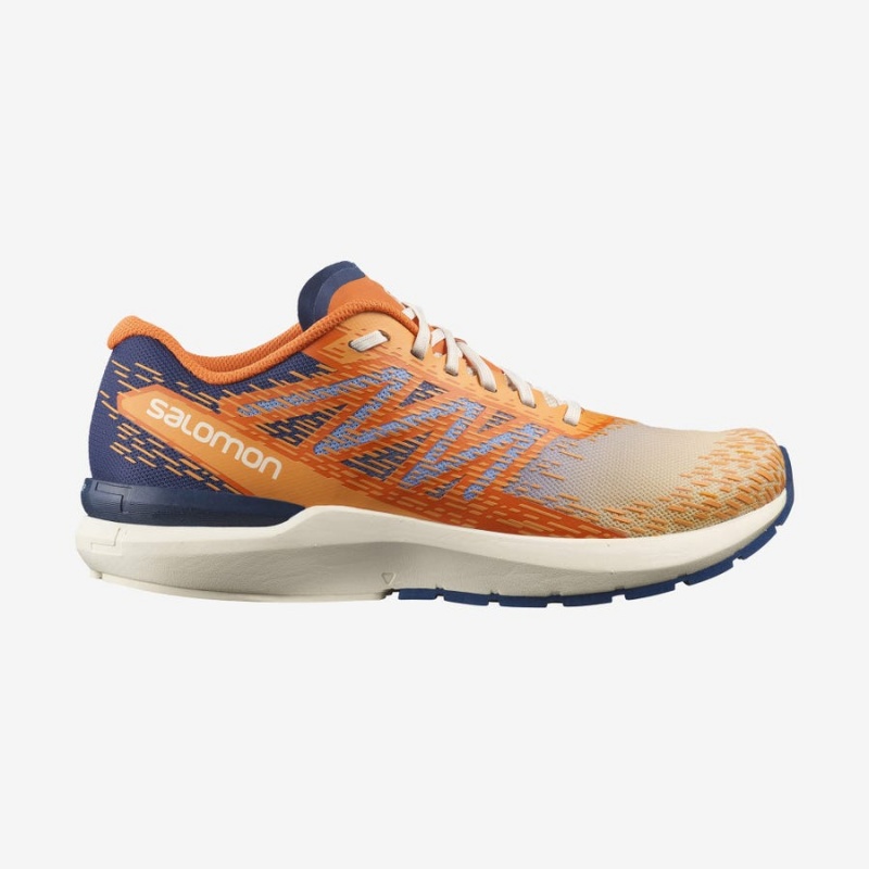 Zapatillas Running Salomon SONIC 5 BALANCE Hombre Naranjas | EC2160YXF