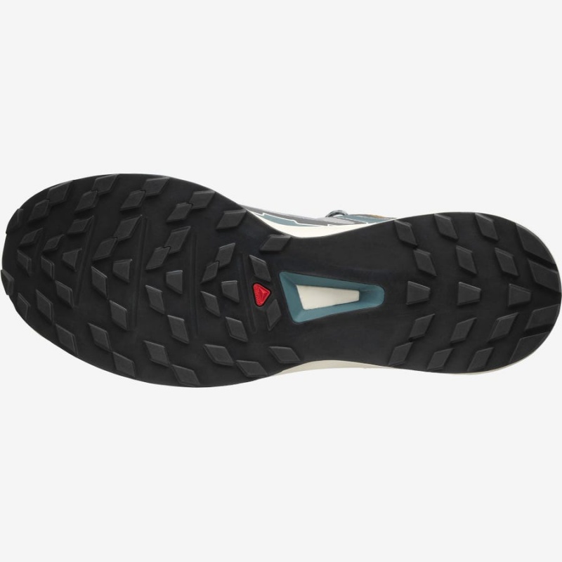 Zapatillas Salomon ULTRA RAID Hombre Gris Plateadas | EC2222VRW