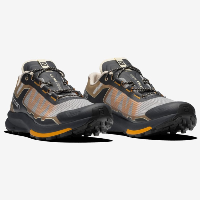 Zapatillas Salomon ULTRA RAID Hombre Marrones Plateadas | EC2220XYU