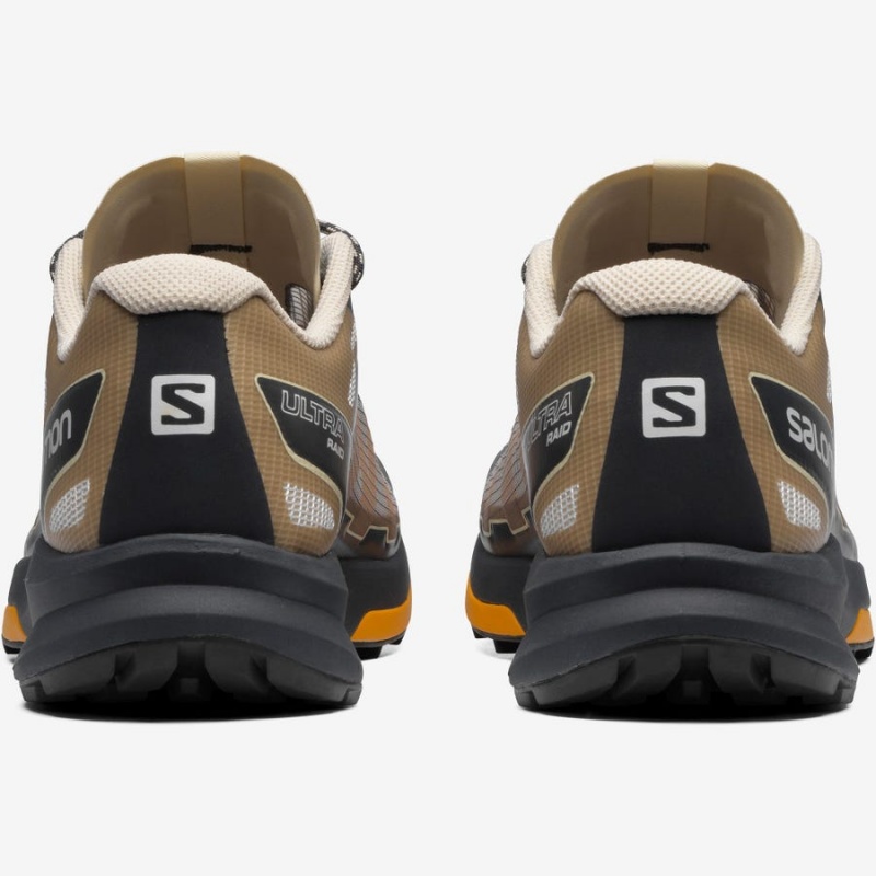 Zapatillas Salomon ULTRA RAID Hombre Marrones Plateadas | EC2220XYU