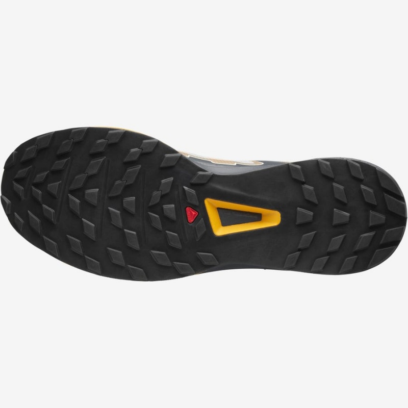 Zapatillas Salomon ULTRA RAID Hombre Marrones Plateadas | EC2220XYU