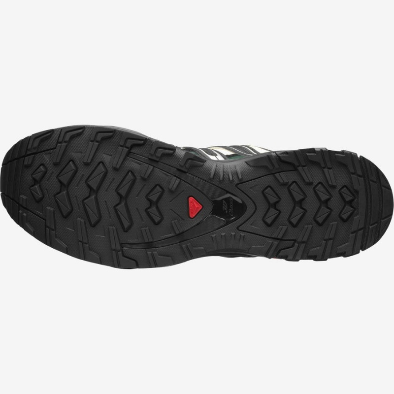 Zapatillas Salomon XA PRO 3D Hombre Negras | EC2188ILH