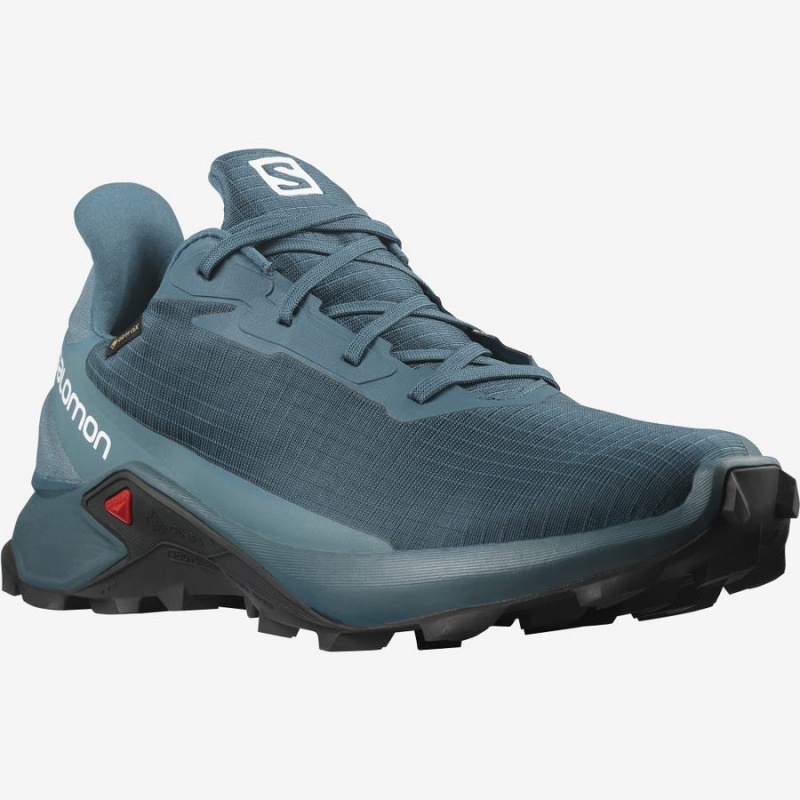 Zapatillas Trail Running Salomon ALPHACROSS 3 GORE-TEX Hombre Azules | EC2087RVD