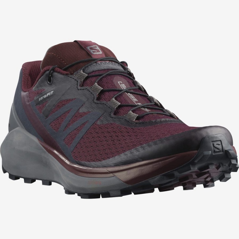 Zapatillas Trail Running Salomon SENSE RIDE 4 Mujer Moradas | EC2876FDN