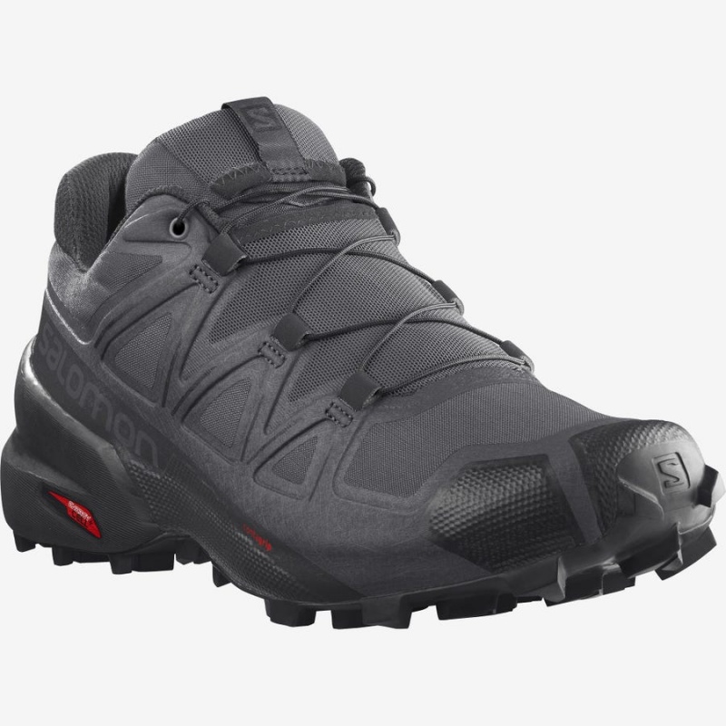 Zapatillas Trail Running Salomon SPEEDCROSS 5 Hombre Plateadas | EC2108NWY