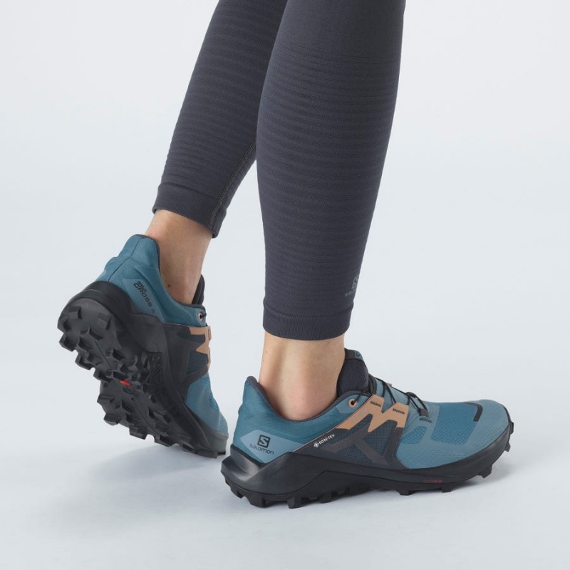 Zapatillas Trail Running Salomon WILDCROSS 2 GORE-TEX Mujer Azules | EC2856XYU