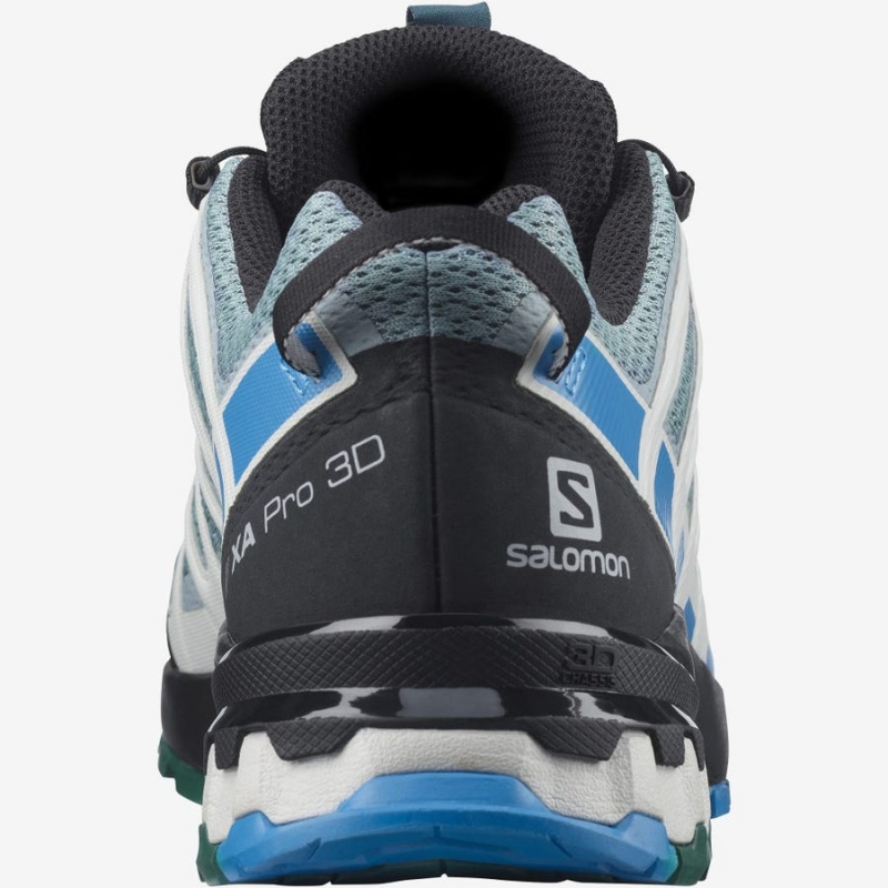 Zapatillas Trail Running Salomon XA PRO 3D v8 Hombre Verde Menta | EC2099HAP