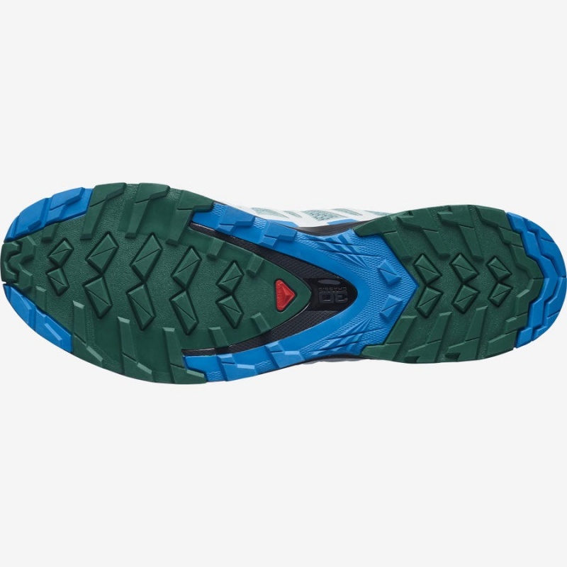 Zapatillas Trail Running Salomon XA PRO 3D v8 Hombre Verde Menta | EC2099HAP