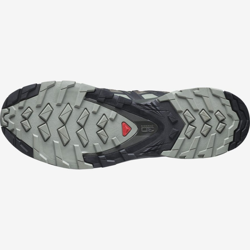 Zapatillas Trail Running Salomon XA PRO 3D V8 WIDE Hombre Moradas Gris | EC2096DFM