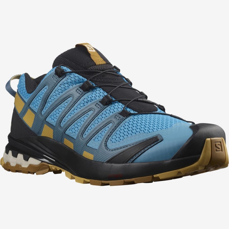 Zapatillas Trail Running Salomon XA PRO 3D v8 Hombre Azules | EC2098GSO