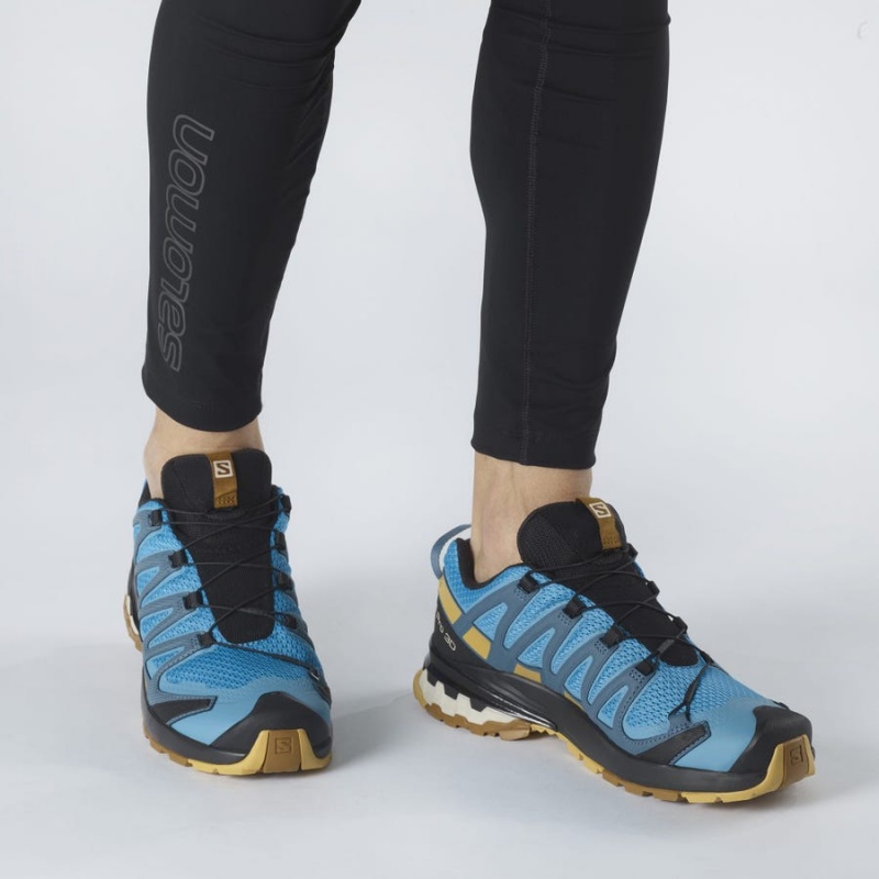 Zapatillas Trail Running Salomon XA PRO 3D v8 Hombre Azules | EC2098GSO