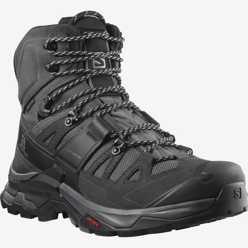 Zapatillas de Senderismo Salomon QUEST 4 GORE-TEX Hombre Gris Negras | EC2063BEX