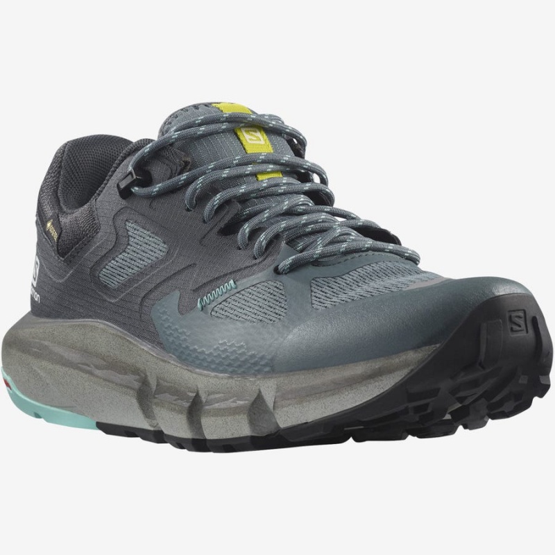 Zapatillas de Senderismo Salomon WoPREDICT HIKE GORE-TEX Mujer Plateadas | EC2836MQZ