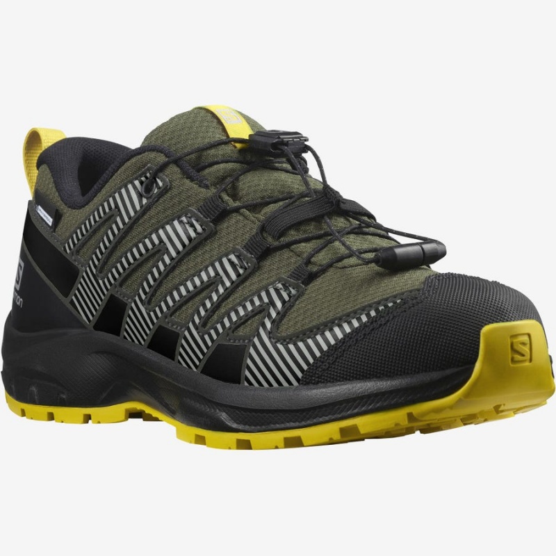 Zapatillas de Senderismo Salomon XA PRO V8 CLIMASALOMON™ WATERPROOF Niños Verde Oliva | EC3587BEX