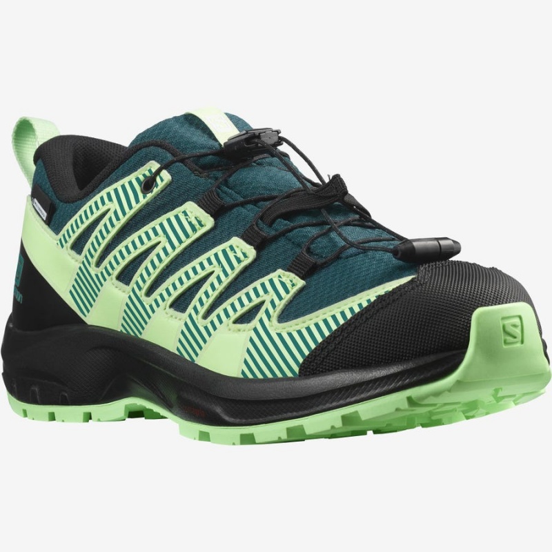 Zapatillas de Senderismo Salomon XA PRO V8 CLIMASALOMON™ WATERPROOF Niños Verde | EC3588NWY