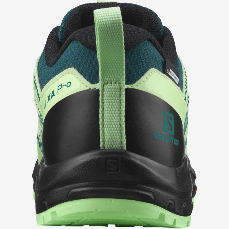 Zapatillas de Senderismo Salomon XA PRO V8 CLIMASALOMON™ WATERPROOF Niños Verde | EC3588NWY